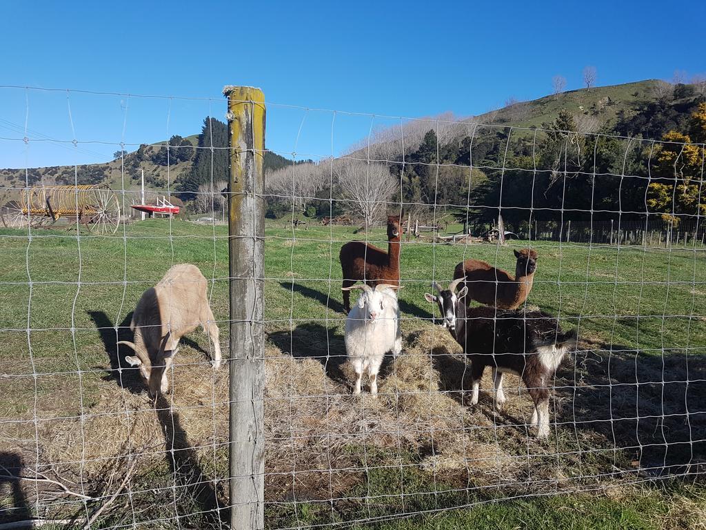 Flat Hills Tourist Park Ξενοδοχείο Ruahine Εξωτερικό φωτογραφία